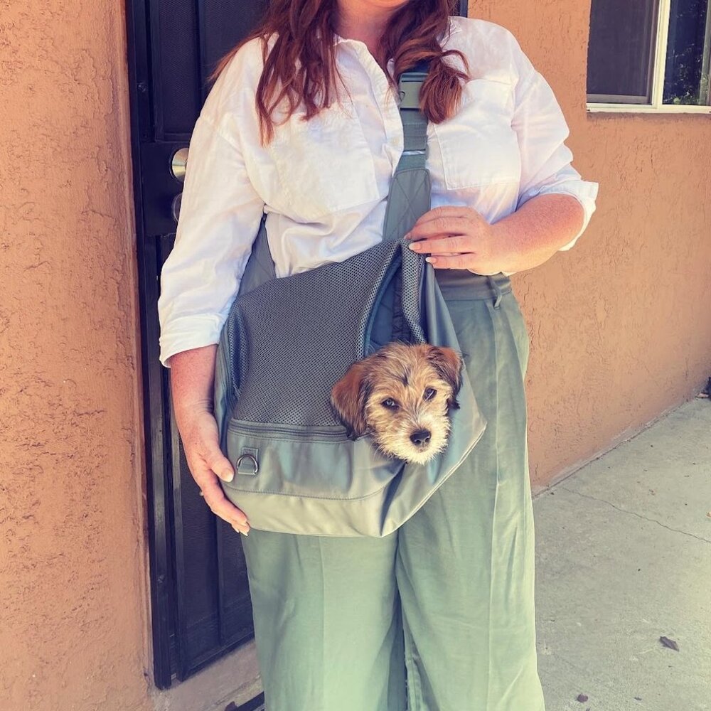 Top Paw On-the-Go Sling Pet Carrier - Petsmart